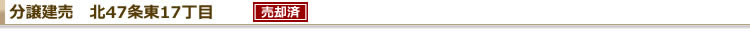分譲建売 北47条東17丁目