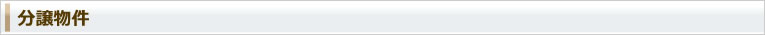 分譲物件